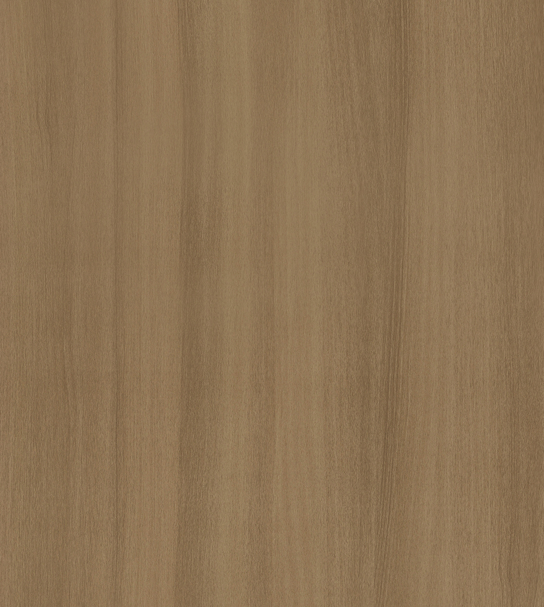 HW1077 카멜사펠레