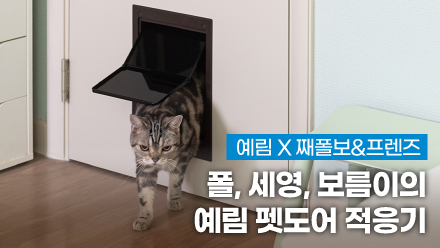 예림X째폴보&프렌즈 ｜ 폴, 세영, 보름이의 예림 펫도어 적응기!